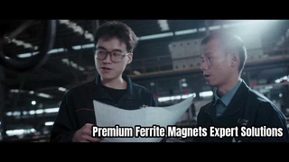 Nam châm Ferrite vĩnh cửu hiệu suất cao của JOINT MAG